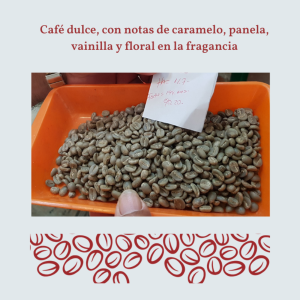 Cafe verde en grano